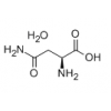 L-天冬酰胺一水物