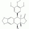 鬼臼毒素 518-28-5