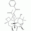 10-脫乙?；涂ǘ?III CAS 32981-86-5